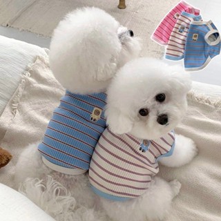 Áo vest thú cưng sọc mỏng poodle Bichon Frise Pomeranian Yorkshire Thu nhỏ Chó mèo Quần áo cho chó mùa hè
