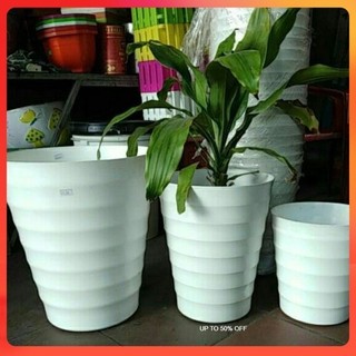Chậu Tròn Vòng Dáng Cao (thích hợp trồng cây ăn quả hoặc cây kiểng rễ sâu)