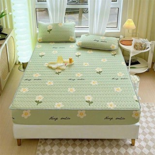 Chiếu điều hòa cao su non Bo Chun 5D, Chiếu bọc đệm cao su non hàng cao cấp nằm thoáng mát mùa hè