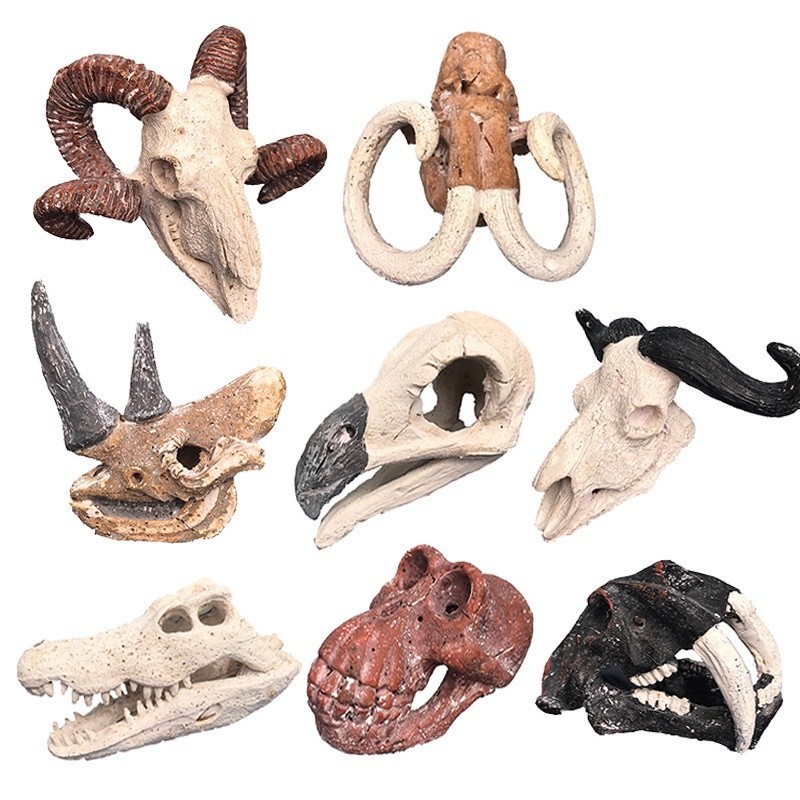 [Hàng Sẵn] Bộ Đồ chơi giáo dục đào thạch cao đầu động vật, hổ răng nanh, chim ưng Size to.