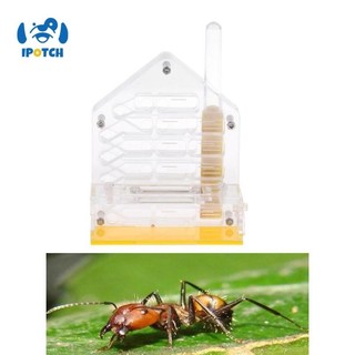 Ipotch Hộp đựng thoải mái cho kiến, Hộp đựng thức ăn Acrylic trong suốt