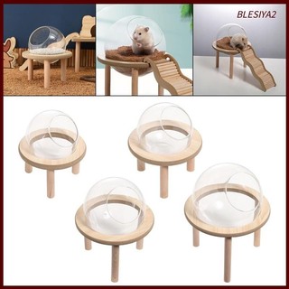 Hộp đựng cát Hamster, Bồn tắm động vật nhỏ, Phụ kiện môi trường nhà vệ sinh, Hộp tắm cát Hamster bằng gỗ lớn cho chuột, chuột lang,