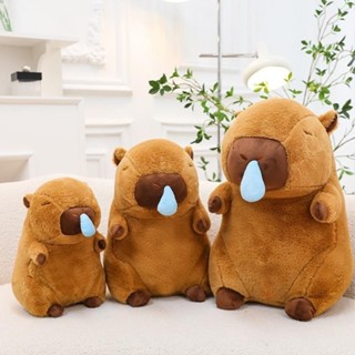 Gấu Bông Capybara mặc trang phục ngộ nghĩnh Size 35cm, HÀNG CAO CẤP Capybara Chuột Lang Nhồi Bông, Gấu bông quà tặng