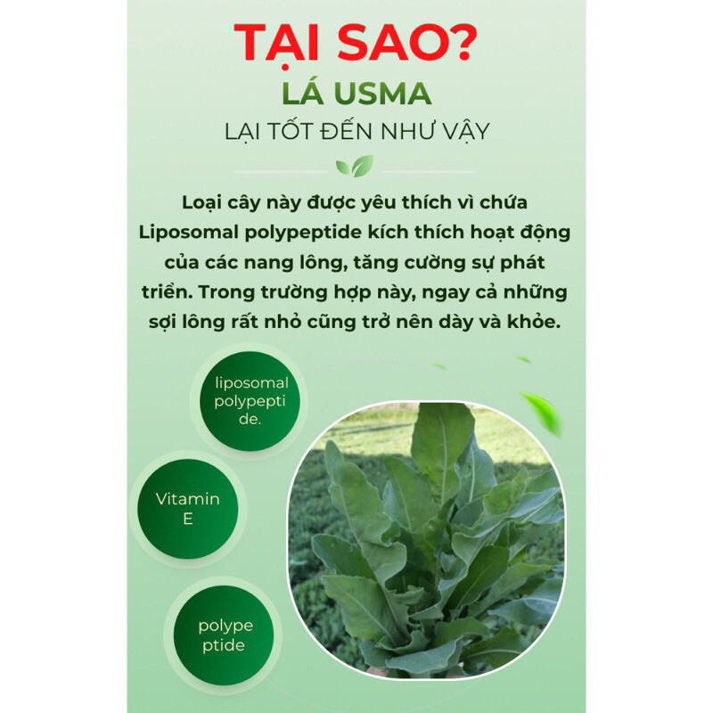 Bột Cỏ Usma Tân Cương Kích Thích Mọc Tóc Chắc Khoẻ 