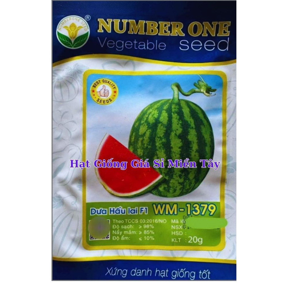 Hạt Giống Dưa Hấu Lai F1 WM-1379 NUMBER ONE (GÓI 20G) - Vỏ sọc lem, ruột có màu đỏ son, chống chịu s