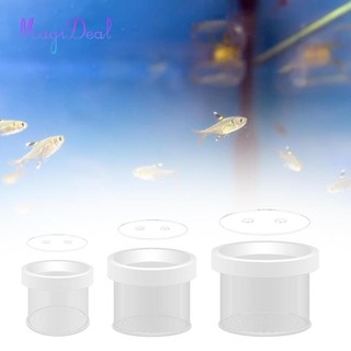 Hộp nhân giống bể cá Acrylic Hatchery cho bé Betta Guppy Fry