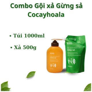 Combo Gội 1000ml Gừng sả và xả gừng sả 500g Cocayhoala.
