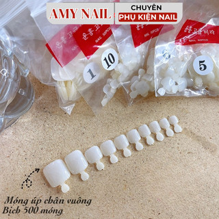 Móng úp chân gói đủ size – Móng giả nail chân chuẩn form, dễ gắn, bền đẹp, phụ kiện làm nail tiện lợi | AMY NAIL