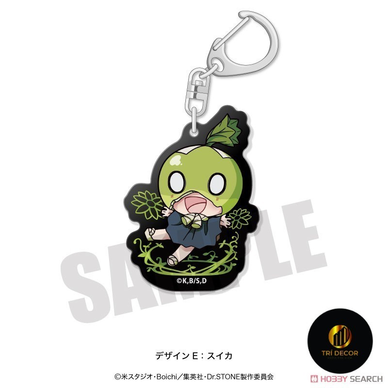 Móc khóa dr stone Keychain Acrylic Ishigami SenkūŌkShishiō Tsukasai TaijuvOgawaOgawa Yuzuriha Yuzuri