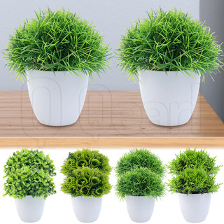 Cây xanh nhân tạo trong chậu - Cây trồng trong chậu cây nhỏ - Mô phỏng cây cảnh bóng cỏ - Trang trí cây giả không phai màu - dành cho văn phòng tại nhà Trang trí tiệc cưới