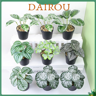 Dairou < Bất ngờ > Cây trồng trong chậu nhân tạo không mùi, trang trí phòng khách có thể tái sử dụng