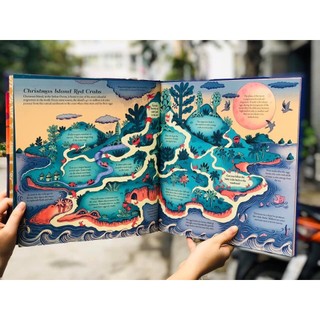 Sách : Animazes Illustrated By Melissa Castrilion
