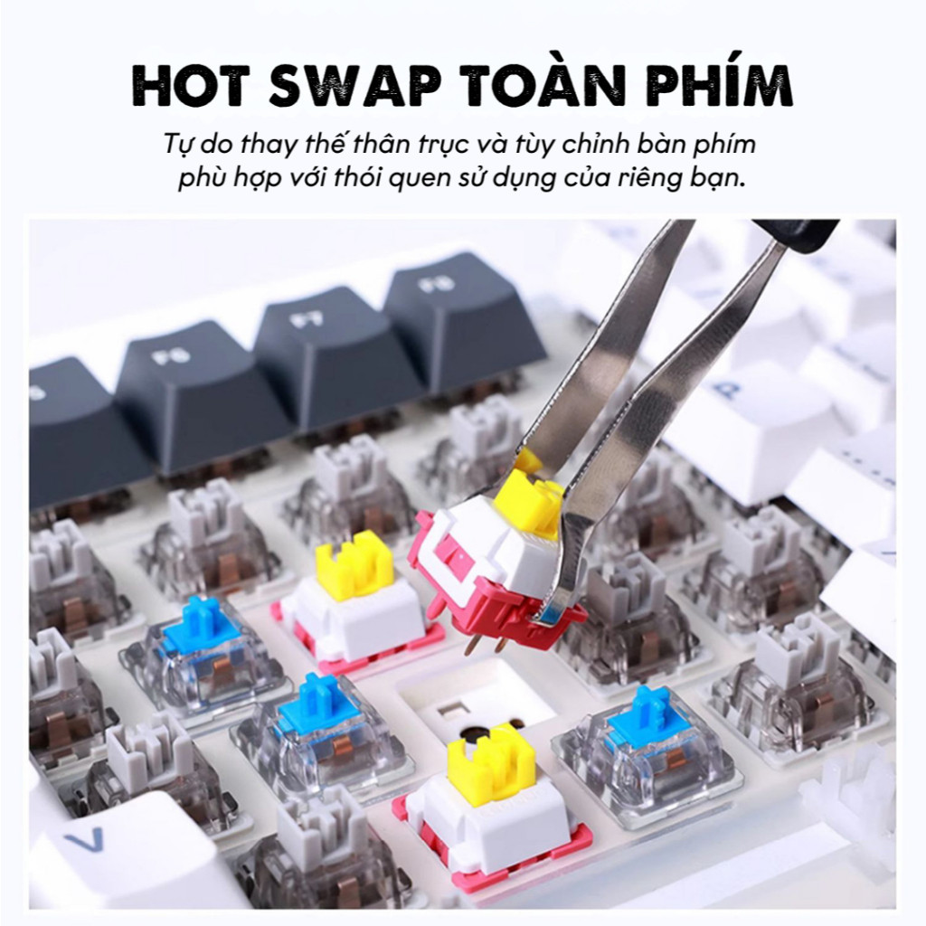 Bàn phím cơ 3 Mode kết nối AULA F87 Hotswap Mạch xuôi Led Viền Gasket Mount LED RGB Keycap PBT | BigBuy360 - bigbuy360.vn
