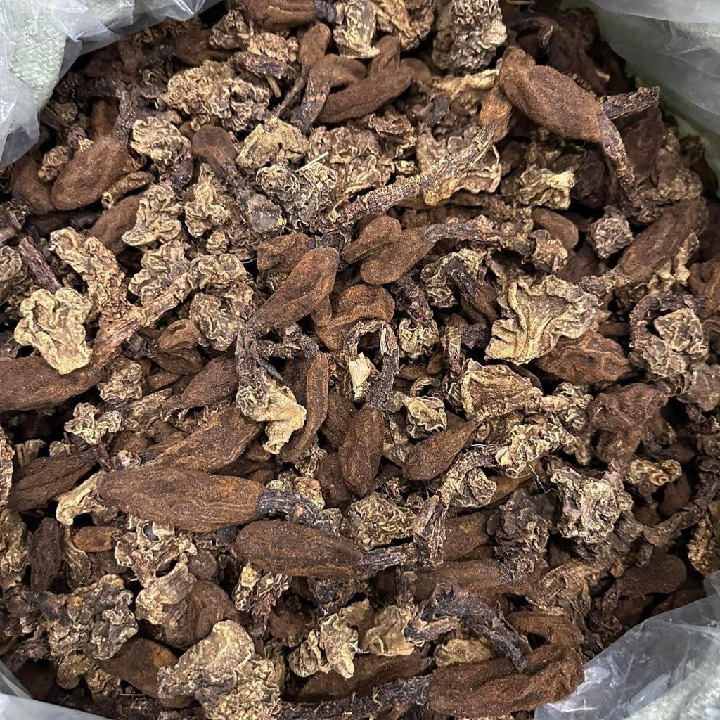 Nấm ngọc cẩu khô ngâm rượu loại 1. Nấm toả dương, tích dương, ngọc cẩu tím, vàng bổ thận tráng dương, tăng cường sinh lý