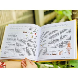 Sách - Sơ đồ tư duy Sinh học - Mind Map Biology, kho thông tin thú vị bởi những người đi đầu