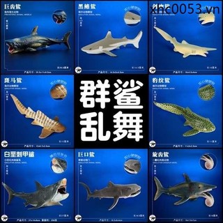 Trẻ em Đồ chơi động vật biển Mô hình cá mập Biển sâu Sinh vật cổ đại Megalodon Cá mập trắng lớn Đầu búa Cá mập xanh Cá mập hổ