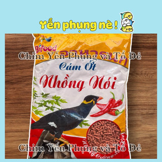 Cám Nhồng Sáo Cưỡng Vẹt Bifood 500g – Tăng Cường Hót, Lông Mượt, Khử Mùi Phân