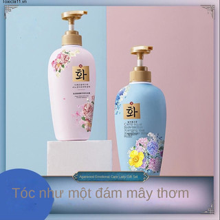 Bộ dầu gội và nước hoa Toxicla11Ttb146, chứa axit amin, nuôi dưỡng toàn bộ làn da