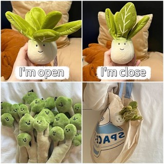 Ins Rau Móc Khóa Dễ Thương Sang Trọng Màu Xanh Lá Cây Móc Khóa Hoạt Hình Mềm Mại Móc Chìa Khóa Túi Sinh Viên Mặt Dây Chuyền Quà Tặng Treo Trang Trí