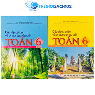 Sách - Các dạng toán và phương pháp giải Toán 6