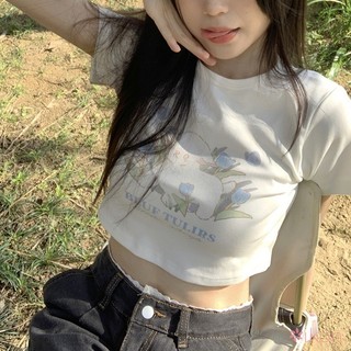 Áo thun nữ mùa hè cổ tròn in hình áo crop top ngọt ngào và cay cho bé Áo thun ngắn tay Hàn Quốc