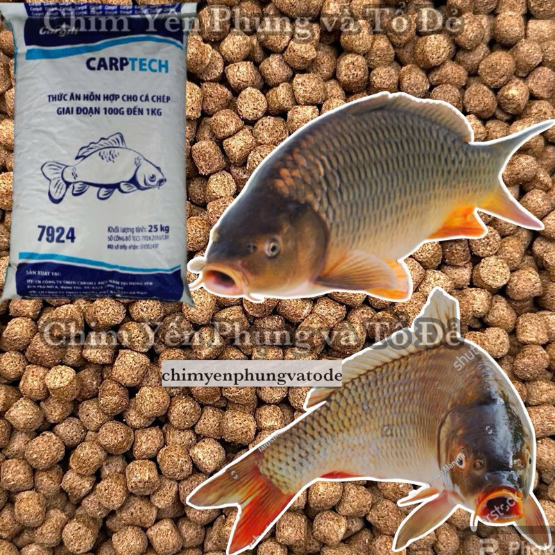 1kg Cám Cá Chép Cargill 7924 Cho Cá Ăn Hoặc Dùng Câu Cá Chép.