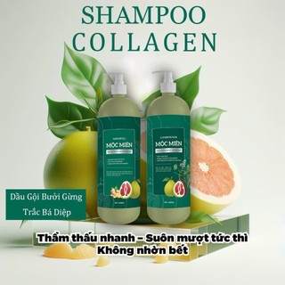  COMBO Dầu gội bưởi gừng trắc bá diệp và dầu xả bưởi bồ kết trắc bá diệp MỘC MIÊN CICIKO  Dung tích mỗi chai 1000 ml  