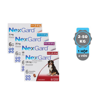 [1 viên] Nexgard - Viên Nhai Phòng Và Trị Ve, Rận, Bọ Chét, Ghẻ Demodex Dành Cho Chó