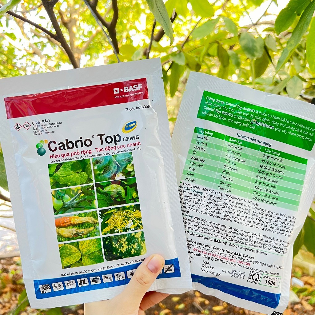 Cabrio Top chuyên trừ đốm lá, sẹo, mốc sương, sương mai Cabrio Top 600WG (Gói 100gram)