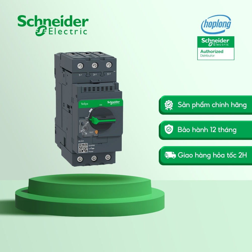 Cầu dao bảo vệ động cơ GV3P65 Schneider - 690VAC - IP20 - 3P - 30kW