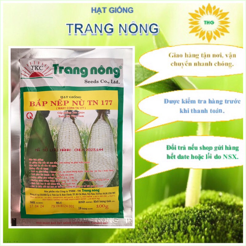 Hạt giống bắp nếp nù dẻo, ngô nếp nù Trang Nông 100gr