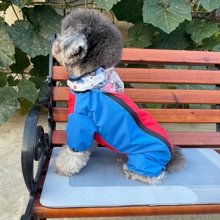 Áo mưa cho chó con Bốn chân Bảo vệ bụng Bao gồm tất cả Lực kéo Teddy Bichon Pomeranian Chó nhỏ Thú cưng Quần áo đi chơi ngày mưa