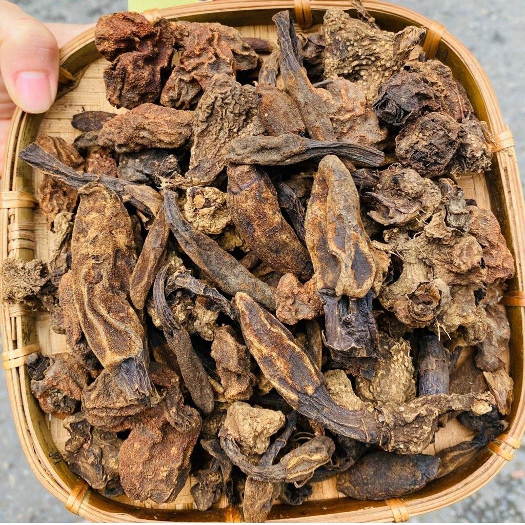 Nấm ngọc cẩu khô ngâm rượu loại 1. Nấm toả dương, tích dương, ngọc cẩu tím, vàng bổ thận tráng dương, tăng cường sinh lý