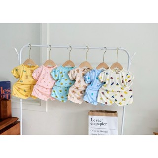 Combo 3-5 bộ cộc tay peptit siêu mát, mềm, mịn cổ chui cho bé trai/bé gái (5 màu khác nhau)