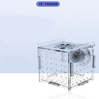 Yesfashion Hộp nhân giống đơn Máy ấp trứng Cách ly Tóc mẫu giáo Nhà phụ kiện bể cá