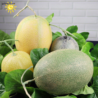 Mô hình cửa hàng trái cây giả trang trí tủ trưng bày