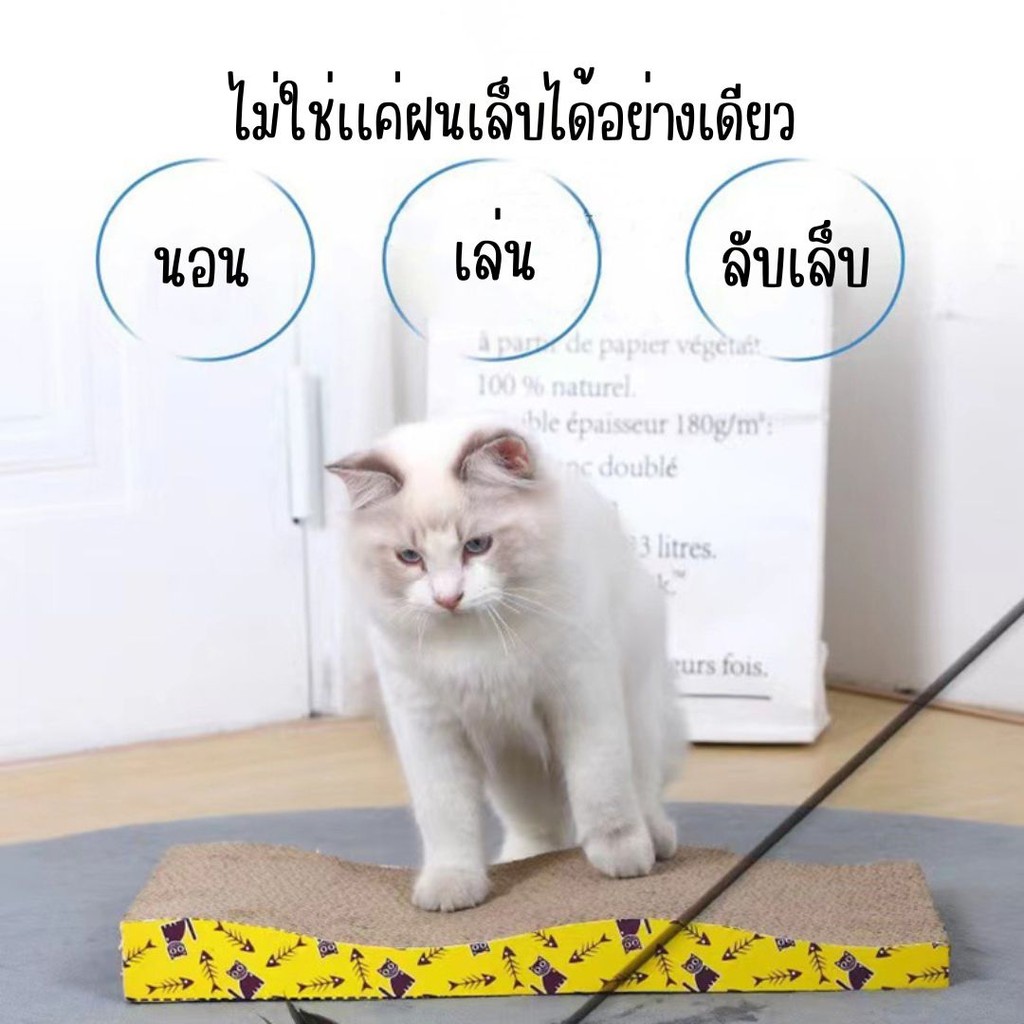 Cat Scratcher The Shape Of The Is A Bed. Bảo hiểm miễn phí 3in1