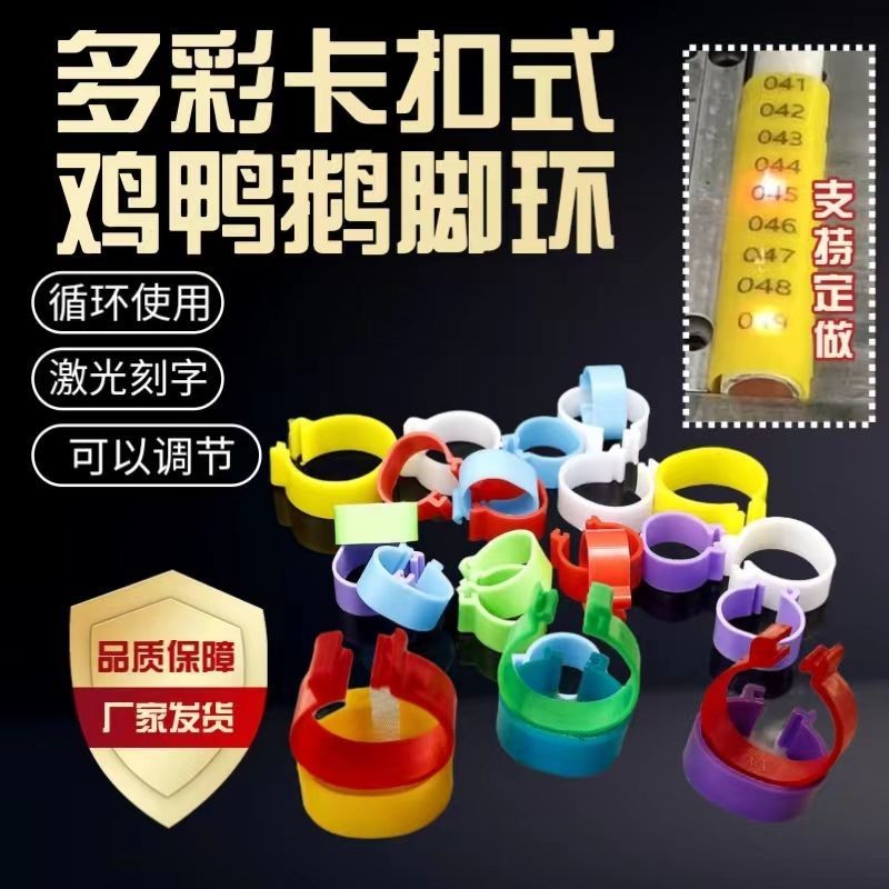 Nhẫn chân gà cho gà, vịt và ngỗng, nhẫn nhận dạng chân có khóa, băng chân gà có số, nhẫn đánh dấu gà