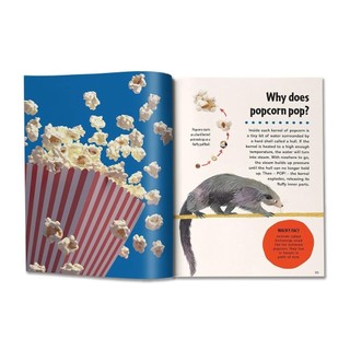 Britannica First Big Book Of Why