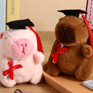 Gấu bông Capybara tốt nghiệp, Chuột lang nước cute, Quà tặng ý nghĩa dịp tốt nghiệp năm học mới, Trang trí balo