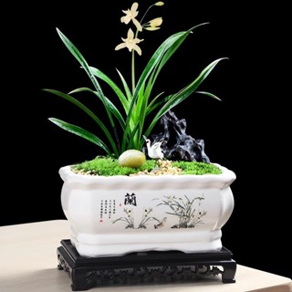  Chậu sứ trồng cây hình chữ nhật chậu trồng các cây bon sai nội thất cây văn phòng 