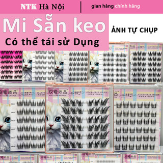 Lông mi giả có keo sẵn hướng dương mi giả tự nhiên mi cáo cụm lông mi dài tự dính