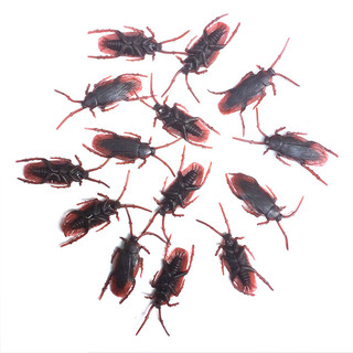 Cminyp 20 chiếc mô hình sống động như thật mô phỏng gián giả gián gián gián đồ chơi ngộ nghĩnh lừa trò đùa nhà