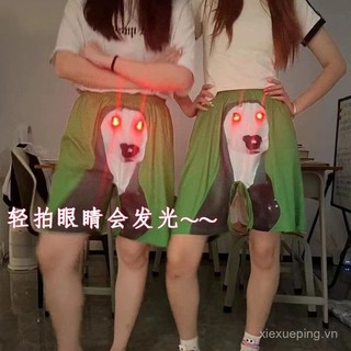 [Mắt Có Thể Phát Sáng] Pan Green Dog Ký Túc Xá Quần Short Sinh Viên Vui Nhộn Thường Ngày Tại Nhà Quần Đi Biển Phong Cách Ngắn 