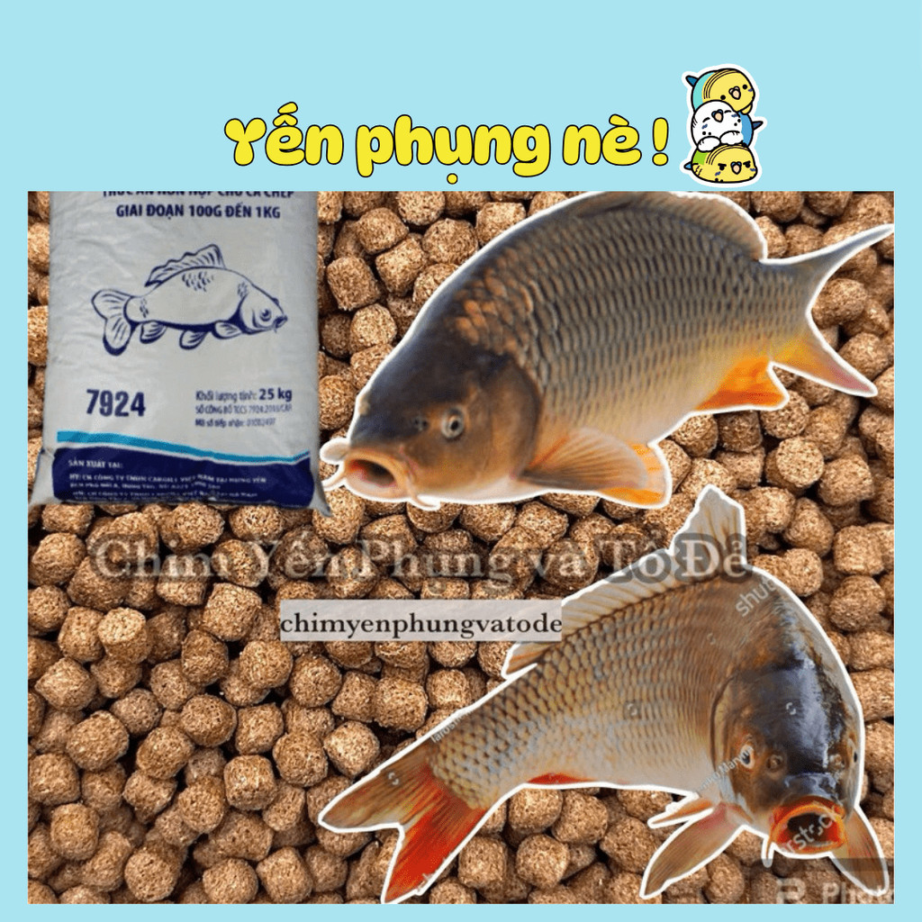 1kg Cám Cá Chép Cargill 7924 Cho Cá Ăn Hoặc Dùng Câu Cá Chép.