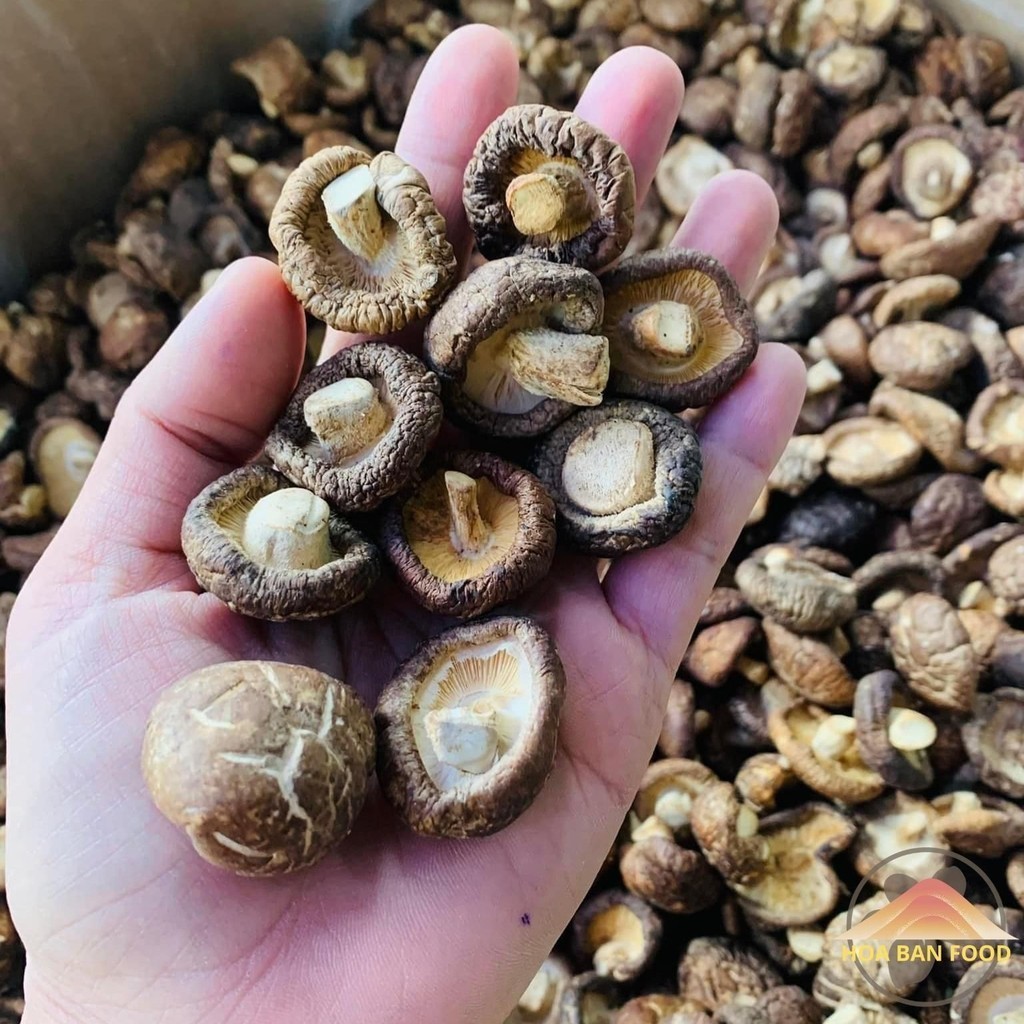 Nấm đông cô khô Sa Pa, nấm cúc sấy khô từ nấm đông cô tươi loại 1 1kg. Đặc sản nấm hương rừng Tây Bắ