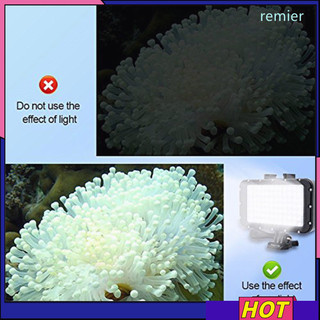 Remier 84 LED Đèn LED chống nước có thể điều chỉnh độ sáng công suất cao Đèn LED chống nước 164ft Đèn lặn dưới nước cho