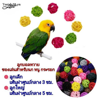Quả bóng đồ chơi cho thú cưng