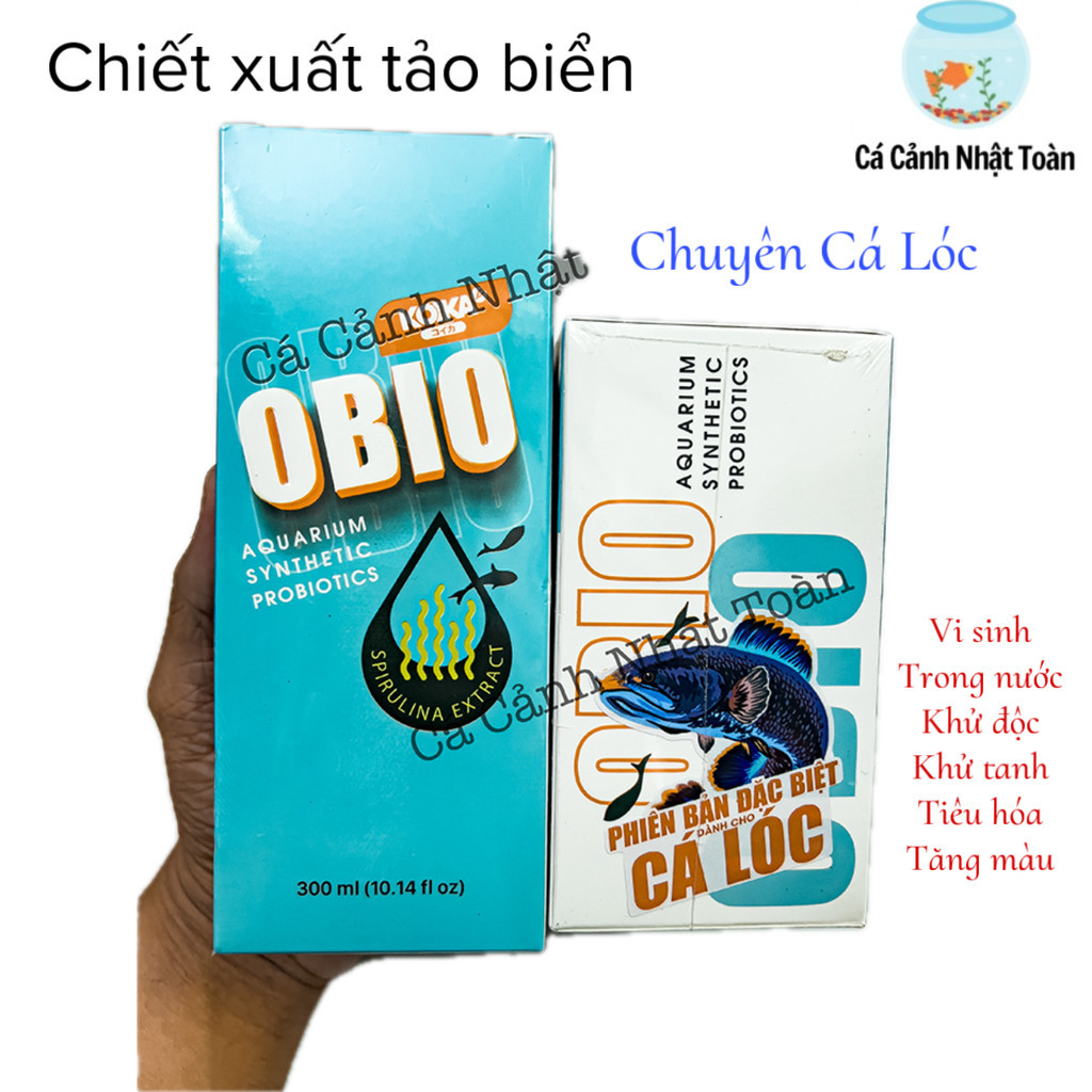 MEN VI SINH OBIO KOIKA (CHUYÊN CHO CÁ LÓC) KẾT HỢP TẢO BIỂN LÀM TRONG