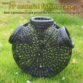 Tatain Eel Lồng Đảo Ngược Whisker Miệng Lồng Câu Cá Eel Loach Lồng Tôm Bắt Cá Lồng Cá Giỏ Bắt Cá Đất Lưới Lồng VN